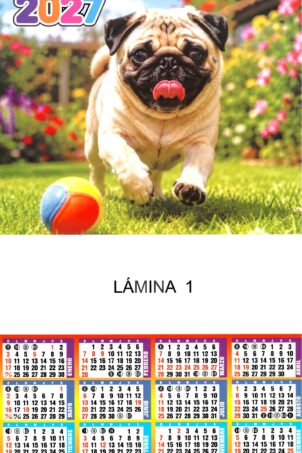 Lámina Nº1