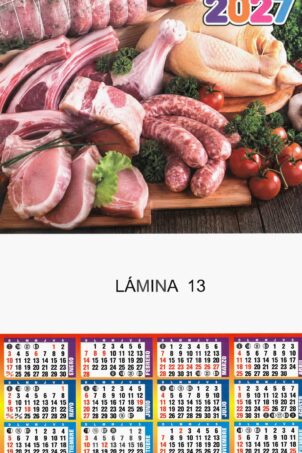 Lámina Nº13