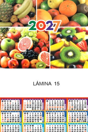 Lámina Nº15