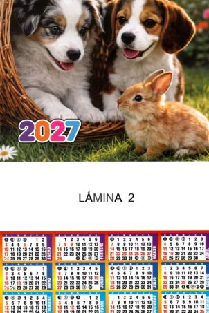 Lámina Nº2