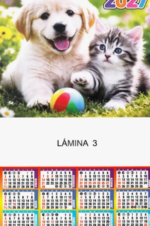Lámina Nº3