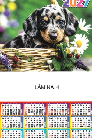 Lámina Nº04