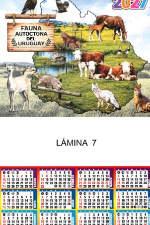Lámina Nº07