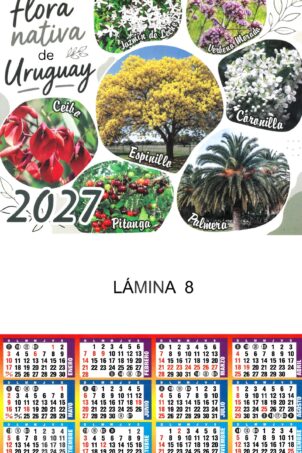Lámina Nº08