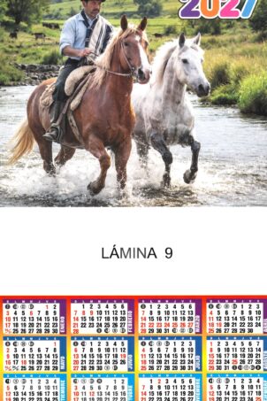 Lámina Nº09